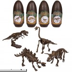 Dinosaur 3D Puzzle 10'' Assorted Paleo Dino Skeletons EA Open The Egg And Construct One Of 4 Different Dinosaurs  B079P676V2